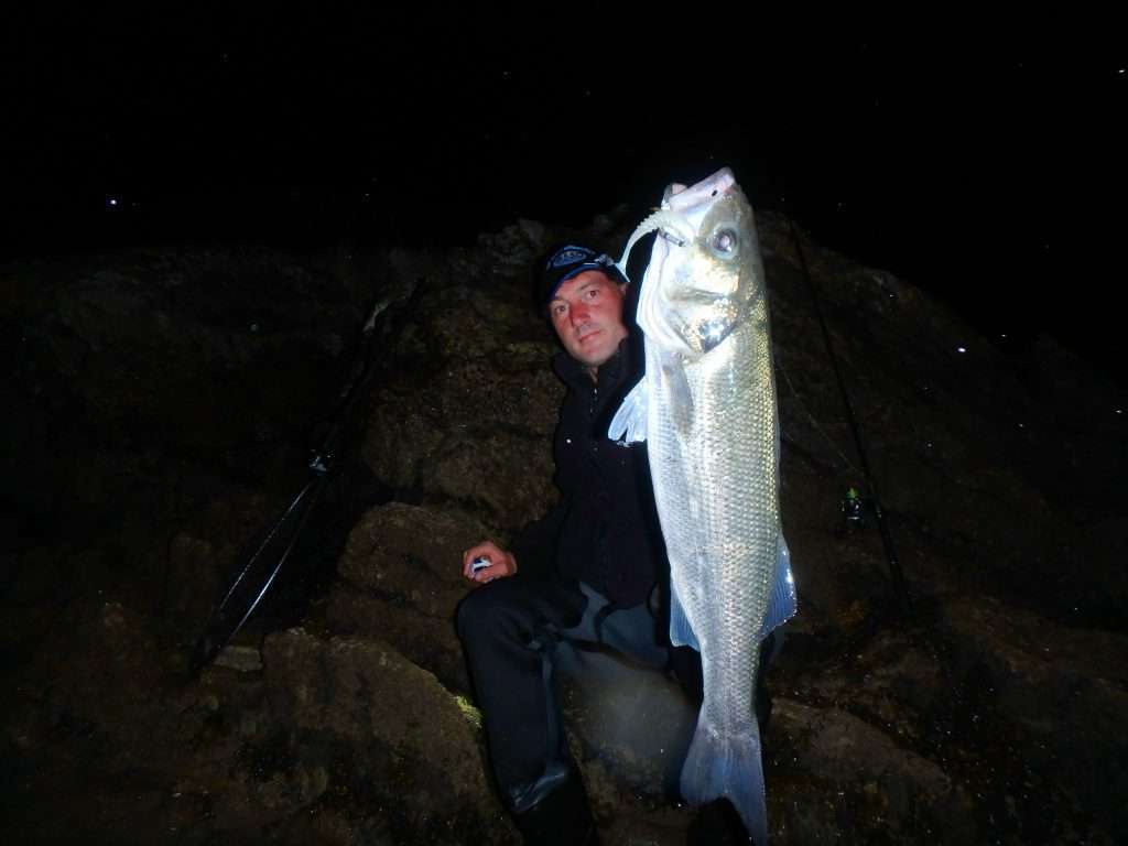 Le pulse blanc est une valeur sur la nuit