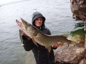 Mega Shad FLASHMER Mega Shad FLASHMER