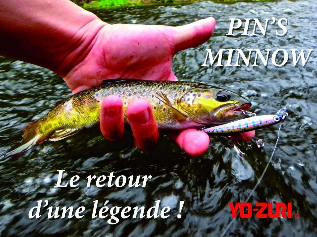 Truite prise avec un Pin's Minnow