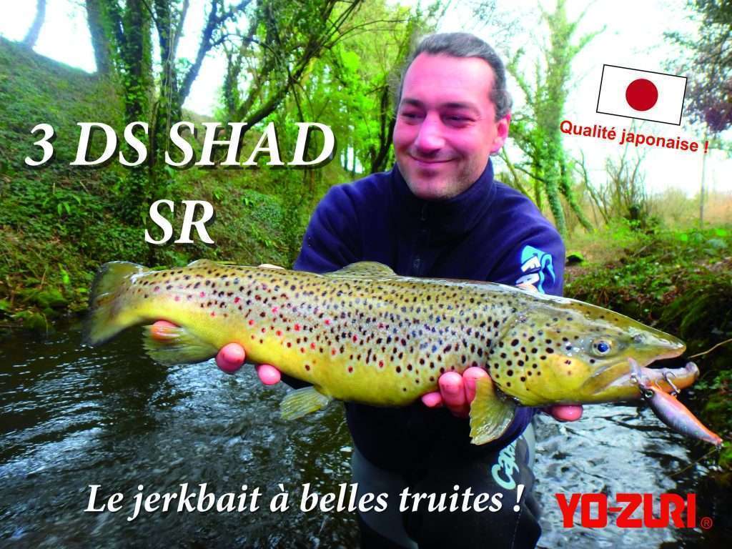 3DS SHAD SR : le jerkbait à belles truites !