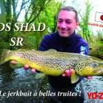 3DS Shad SR : le jerkbait à belles truites !