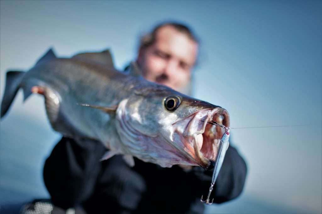 prise au Métal Spot