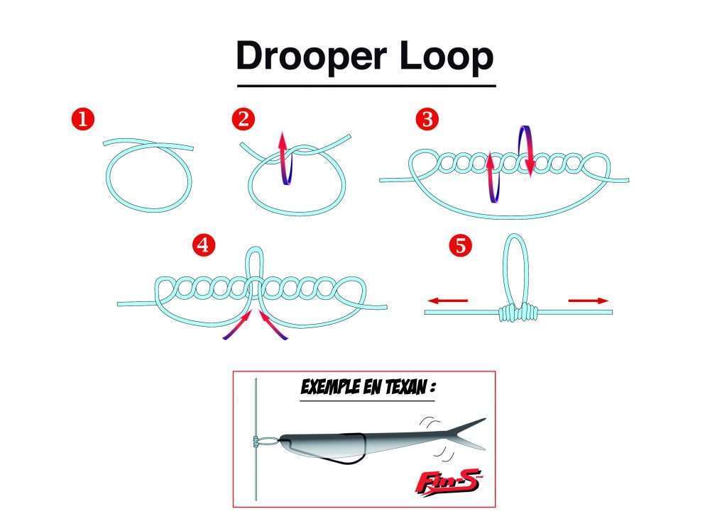 Noeud Drooper Loop