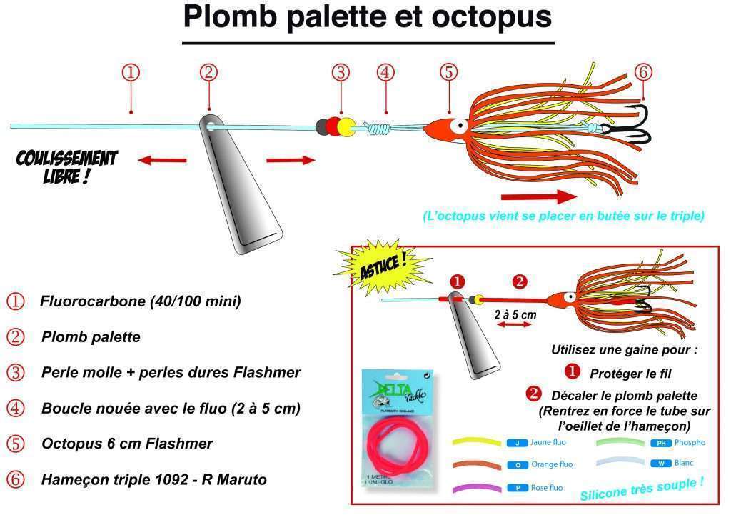 Plomb palette et octopus