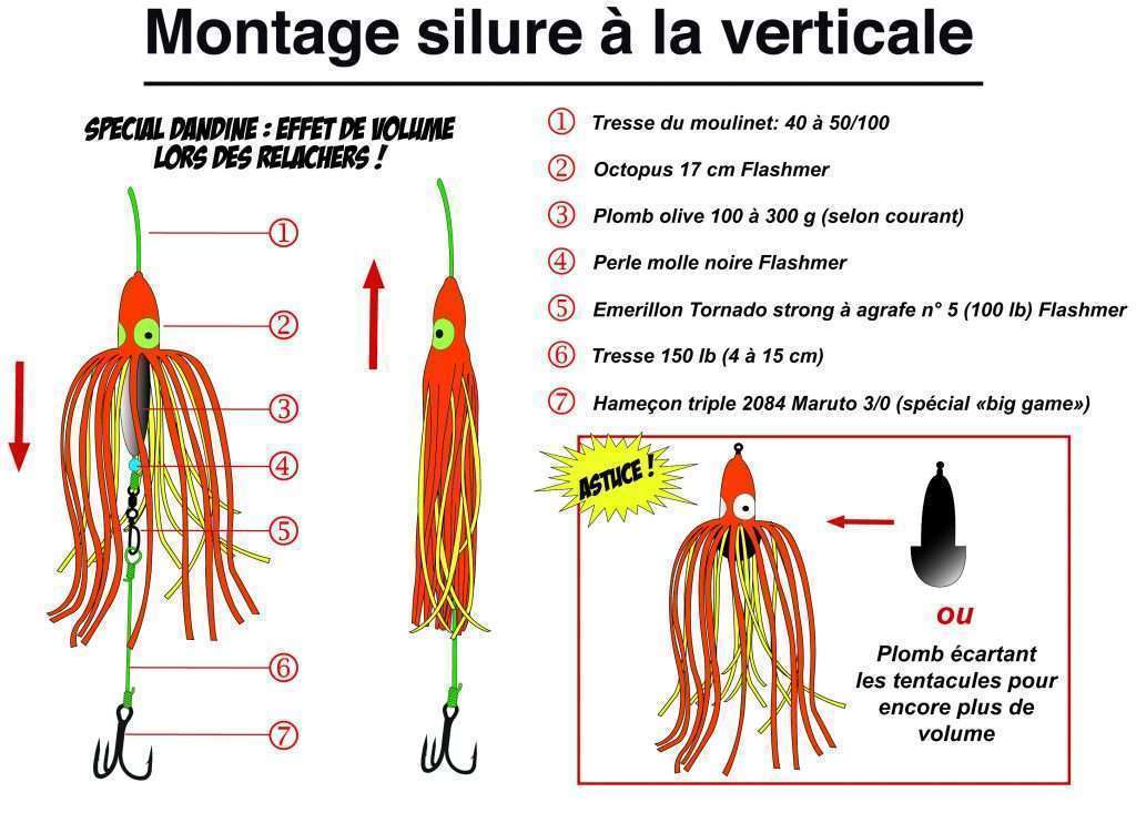 Montage silure à la verticale