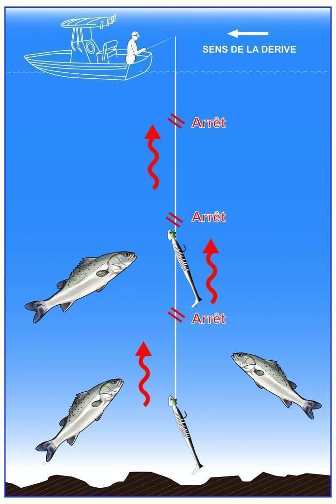 Technique de l'ascenseur