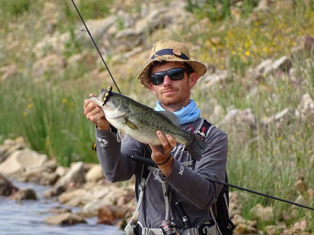 Bass 52cm