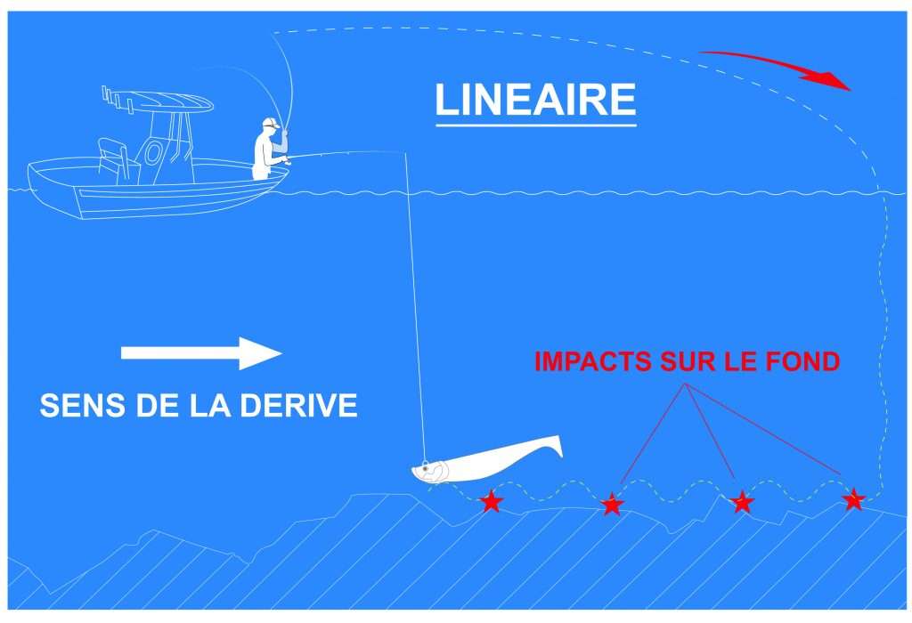 Illustration pêche en linéaire avec un Blue Shad