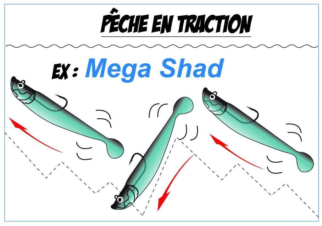 Pêche en Traction - Mega Shad