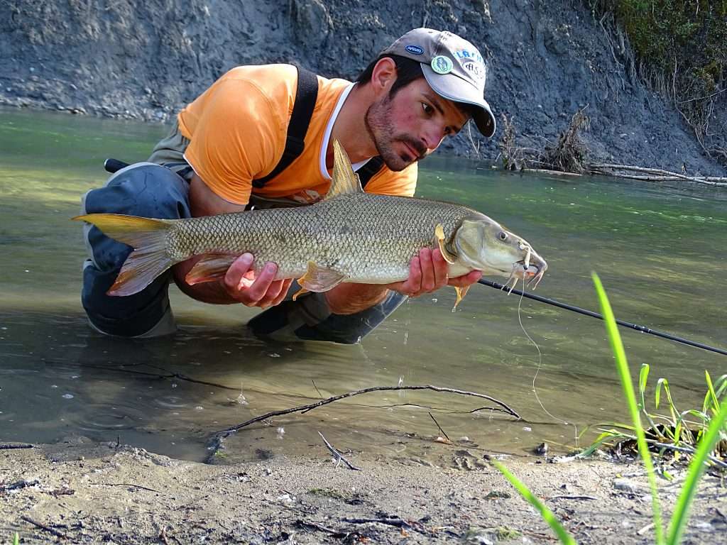 Le Grubster 2 '' est le shad préféré d'Etienne pour la pêche des barbeaux !