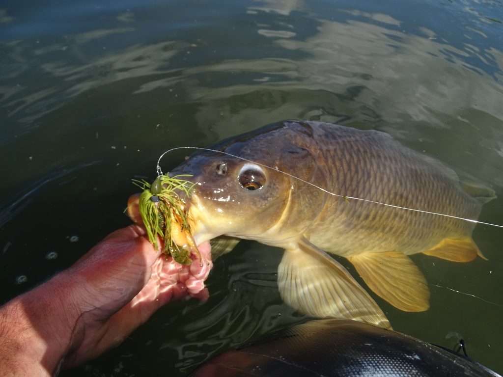 Réparer et faire durer les leurres souples - Peche et Poissons   Carnassiers, carpe, truite, mer, coup… Toute l'actu de la pêche