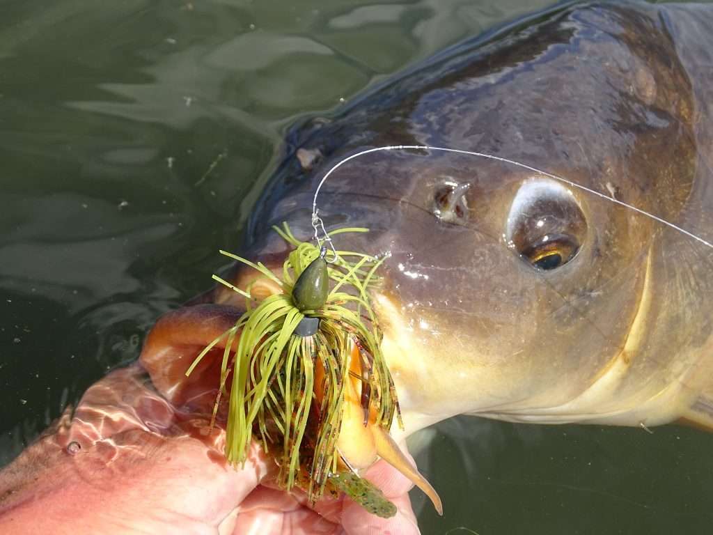 Soigner ses leurres - Peche et Poissons  Carnassiers, carpe, truite, mer,  coup… Toute l'actu de la pêche