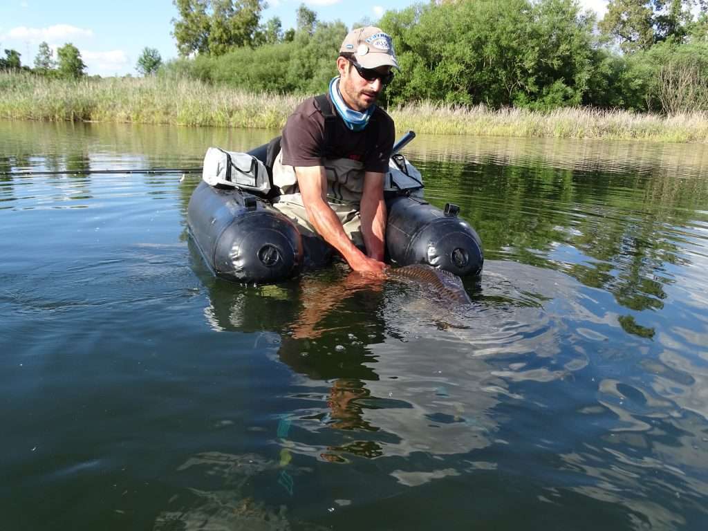 Un poisson aussitôt libéré aprés la photo !