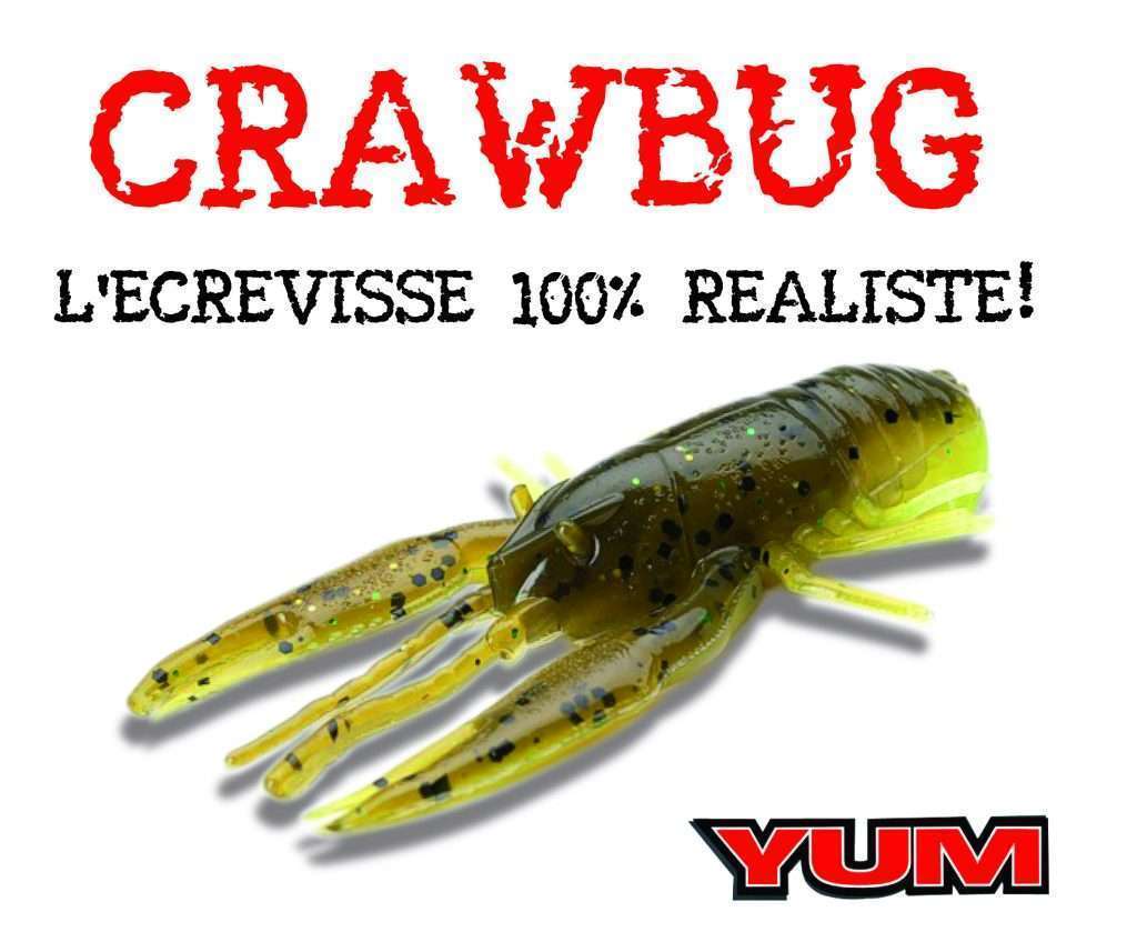 Crawbug Yum