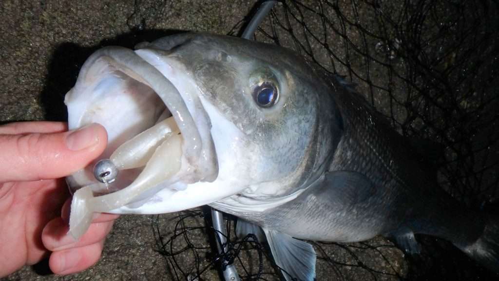 Prise avec une tête plombée légère