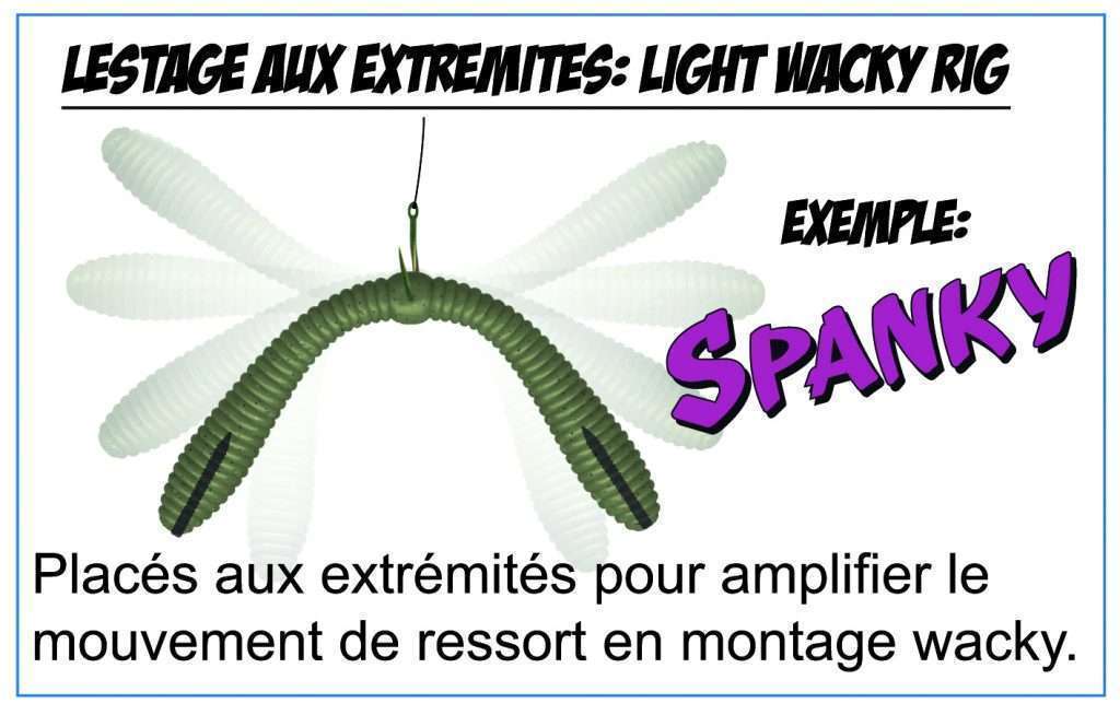 Lestage aux extrémités : Light Wacky Rig