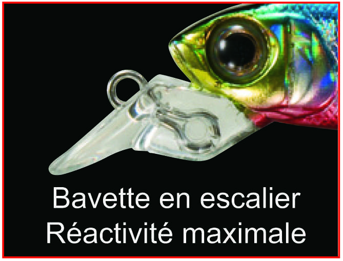 Bavette en escalier de l'Eba Minnow