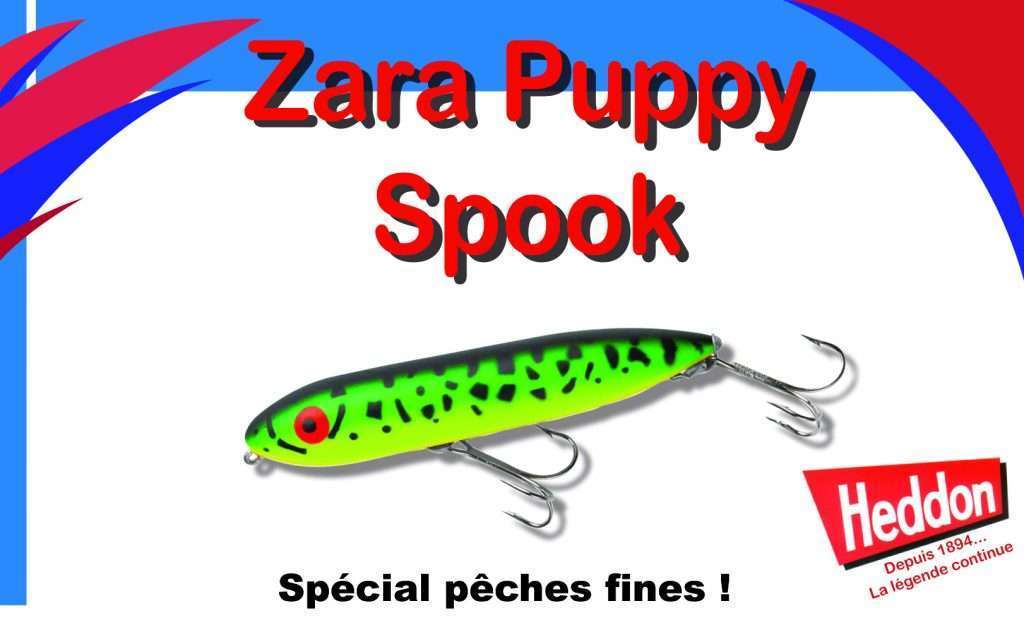 Le Zara Puppy spook : un must pour les pêches fines !