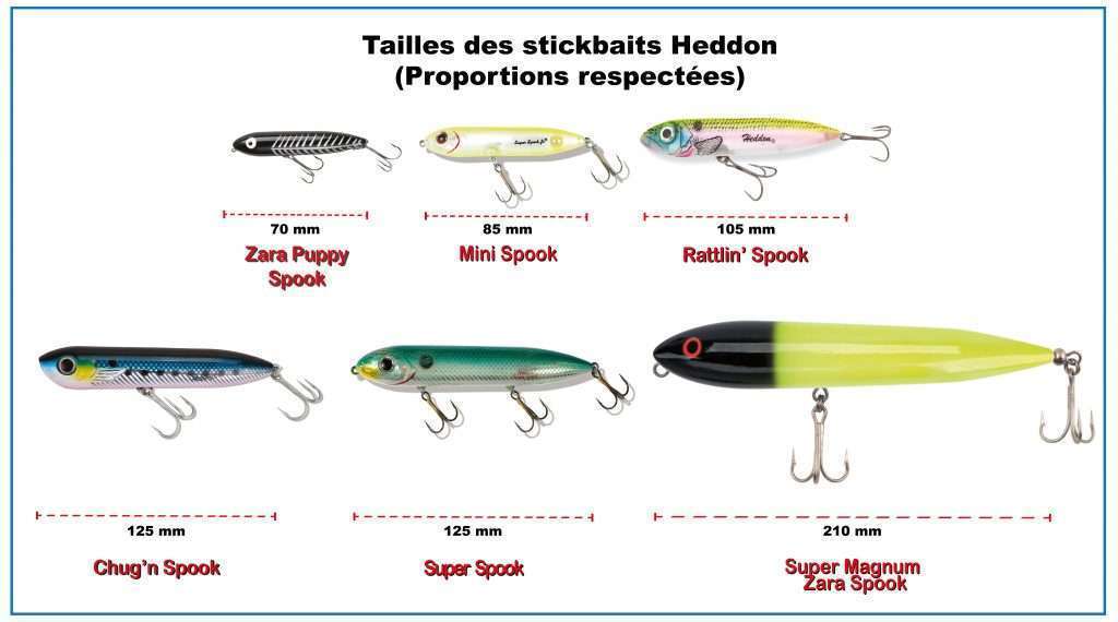 Tailles des stickbaits Heddon (proportions respectées)