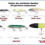 Les stickbaits Heddon en mer (partie 1)