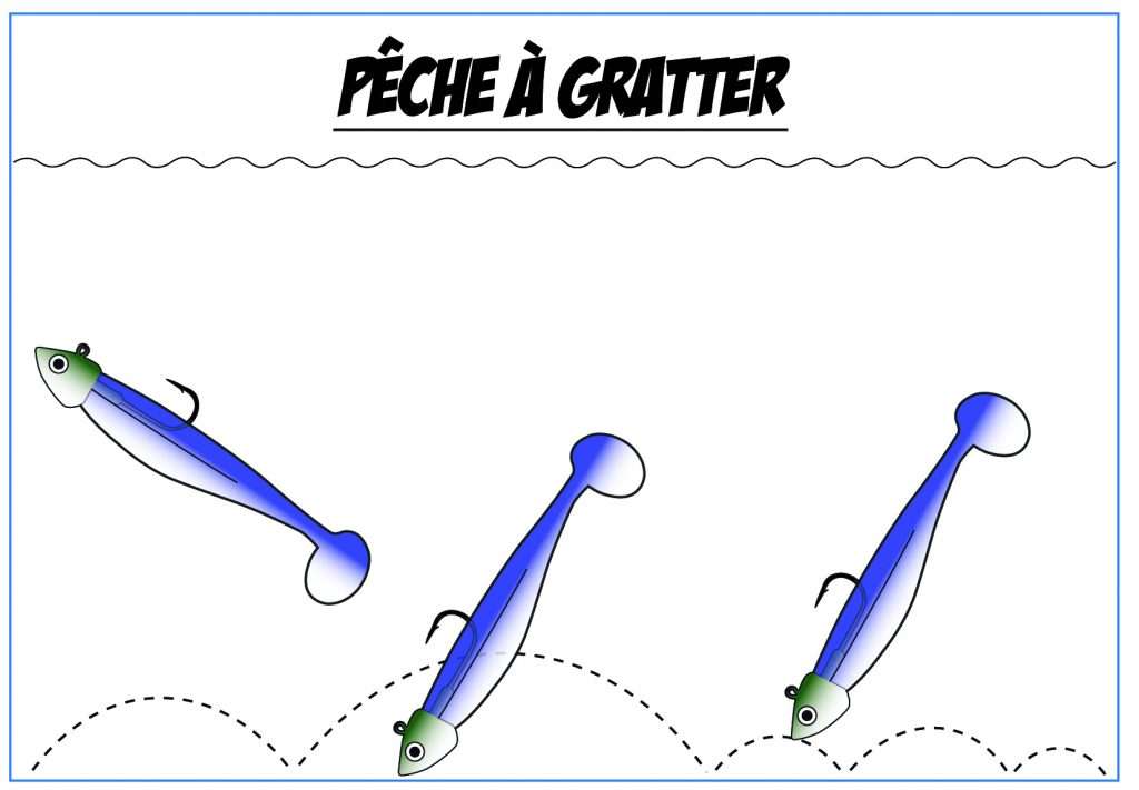 Pêche à gratter avec une Tête Skud Flashmer et un Swimfish Lunker City