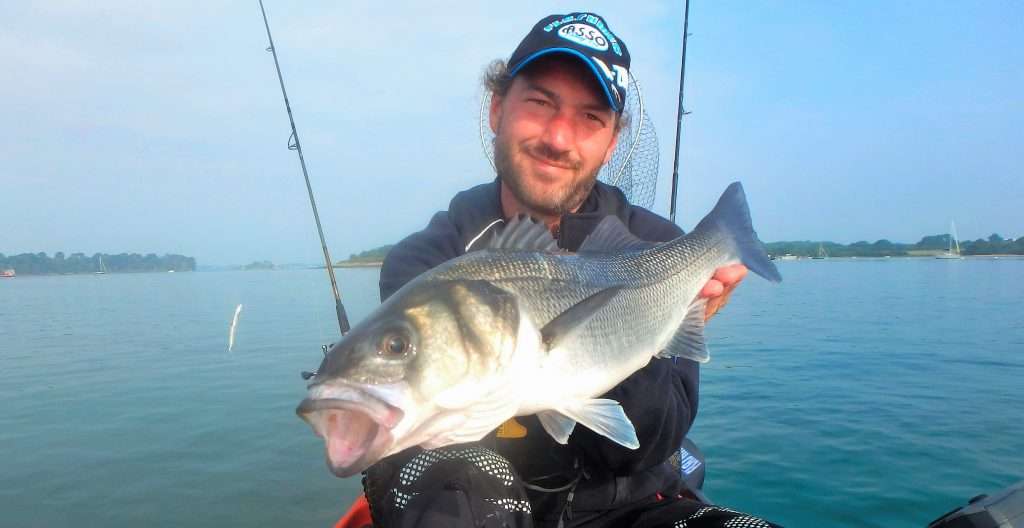 Bar pris au Blue Equille en pêche à gratter