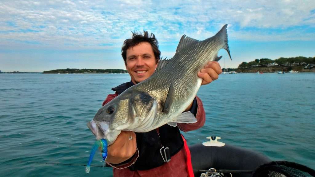 Bar pris au Blue Equille en pêche à gratter