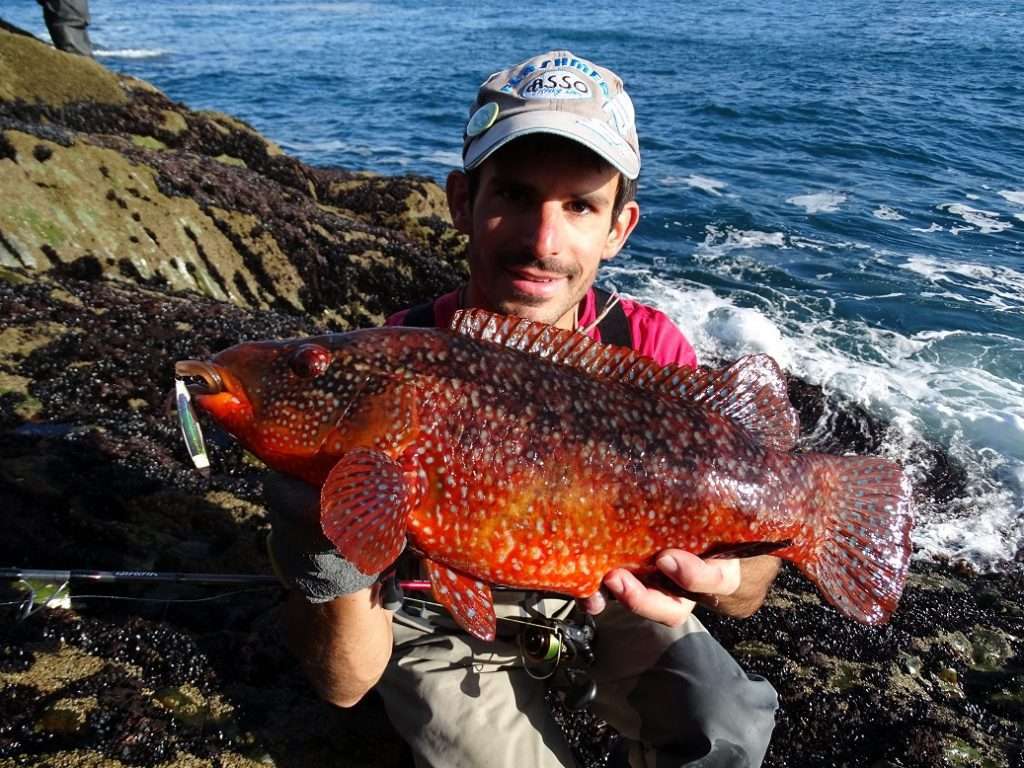 Ce montage permet de pêcher loin et profond