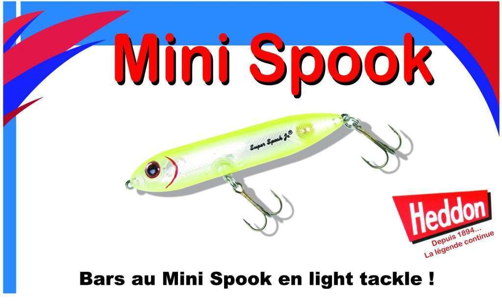 Mini Spook