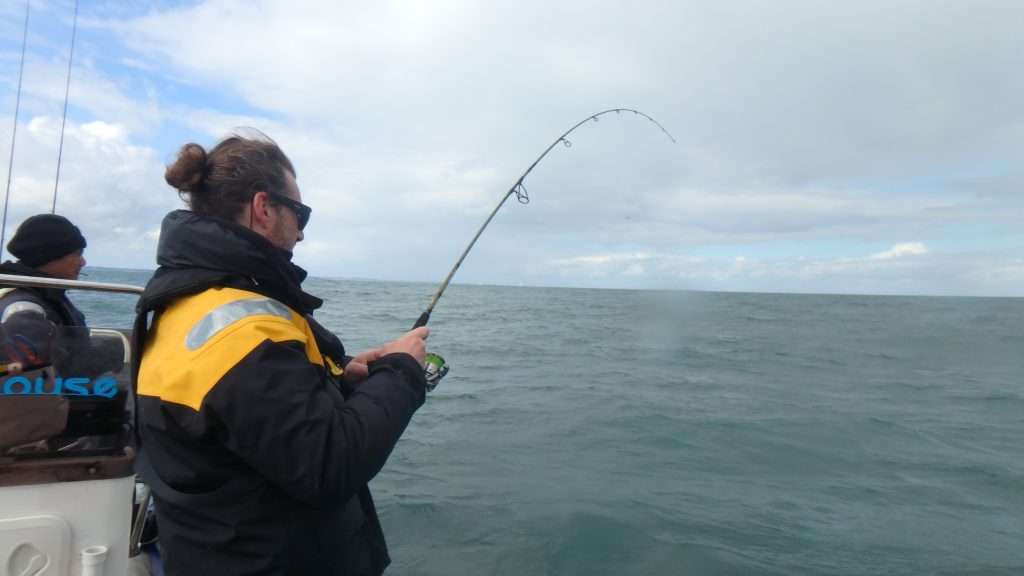 La défense d’une vieille de plusieurs kilos est un plaisir pour le pêcheur