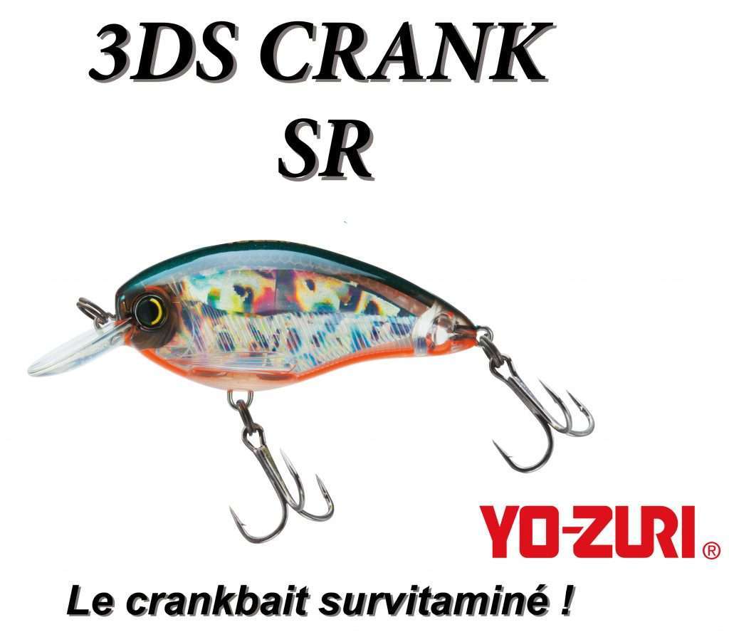 3DS Crank SR