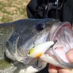Power fishing aux crankbaits