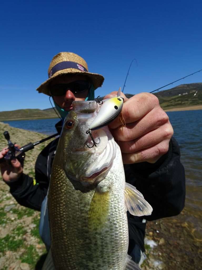 Plongeant au maximum à 1 m, le 3DS Crank SR est parfait pour pêcher les berges