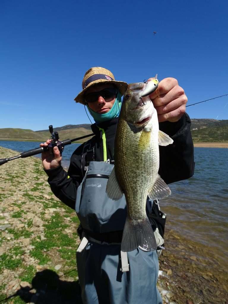 Plongeant au maximum à 1 m, le 3DS Crank SR est parfait pour pêcher les berges