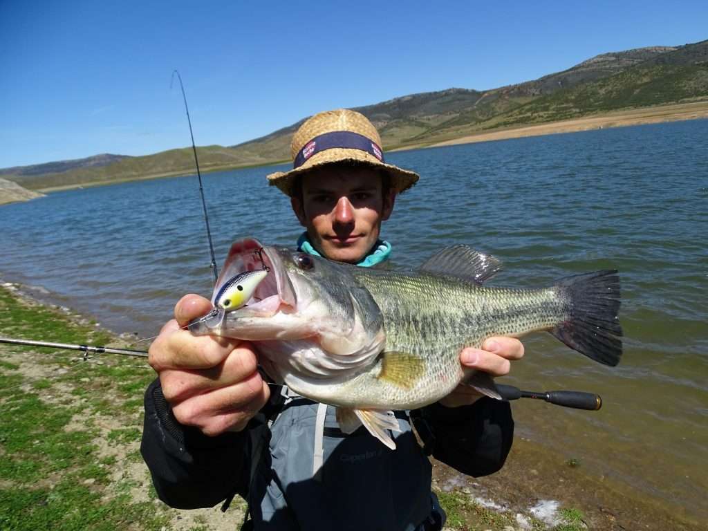 Lors de leur séjour en Espagne, notre team a fait de nombreux bass aux crankbaits