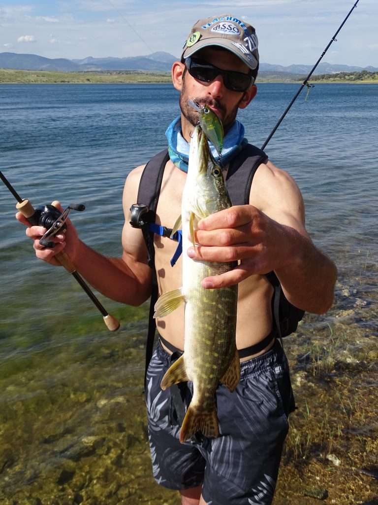 Avec sa nage très active, ce 3DB Squarelip a su séduire un brochet posté dans 2 m d’eau