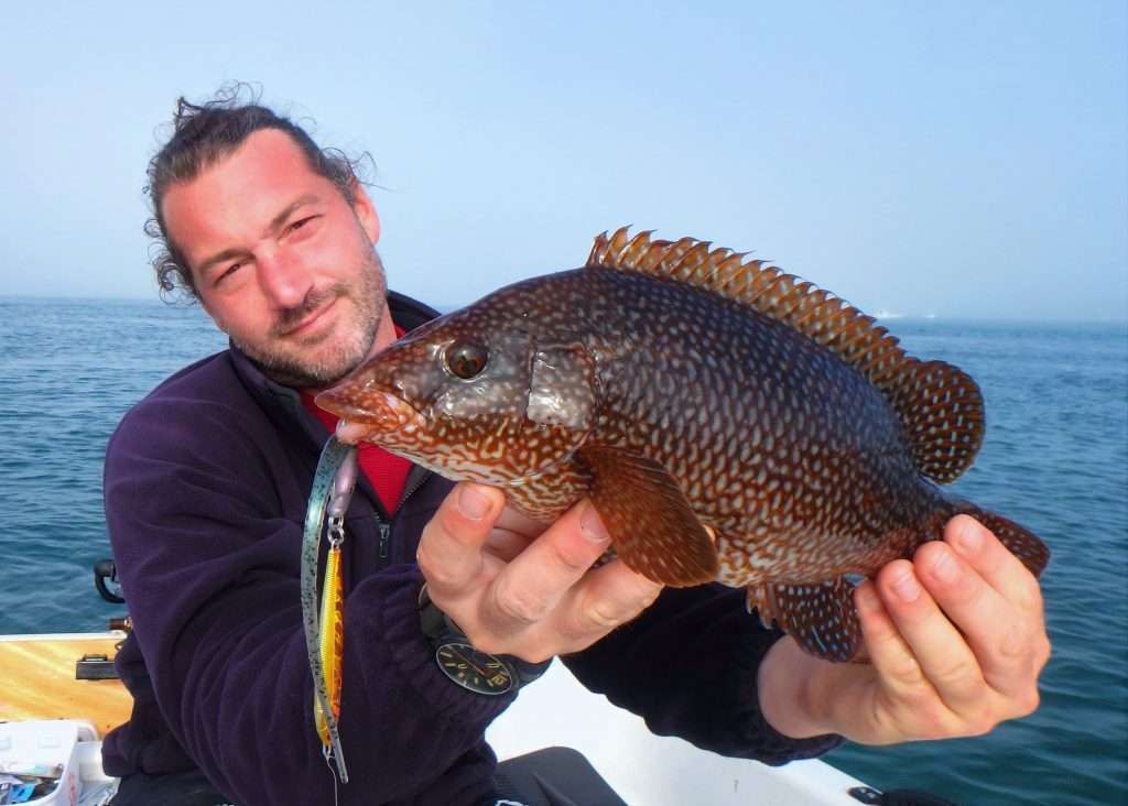 Belle vieille prise sur des fonds rocheux en pêche à gratter