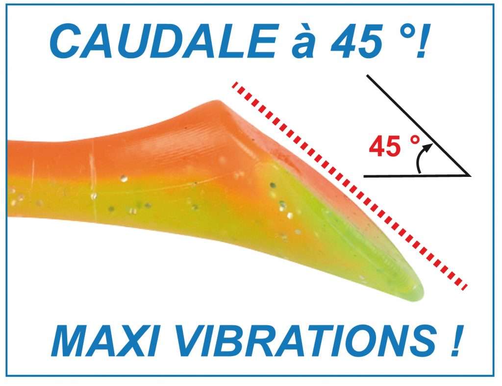 La caudale du Turbo Shad est inclinée à 45 °