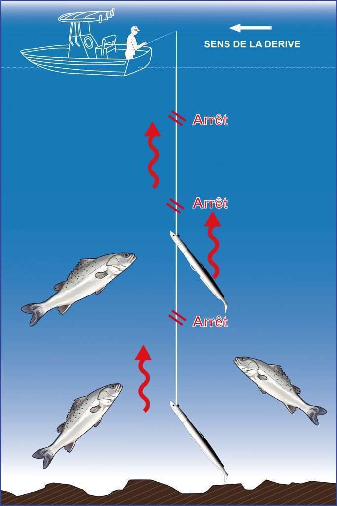 Technique de l'ascenceur avec un Blue Equille