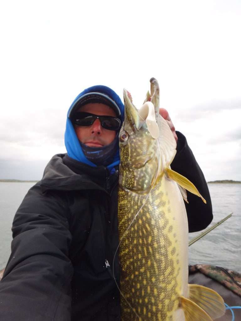 Etienne Goletto et un beau brochet pris au Turbo Shad blanc