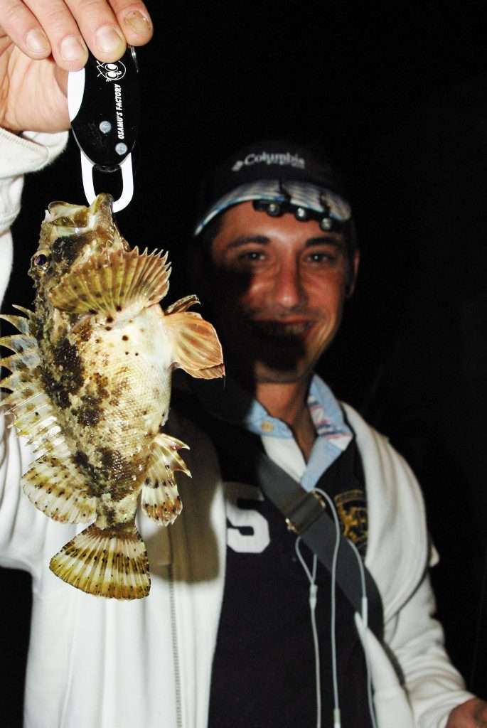 Une petite fishgrip peut être utile pour manipuler les poissons venimeux comme cette rascasse