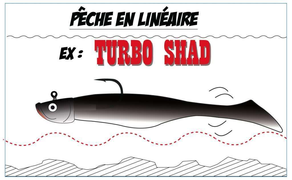 Pêche en linéaire au Turbo Shad avec une tête plombée poisson Flashmer