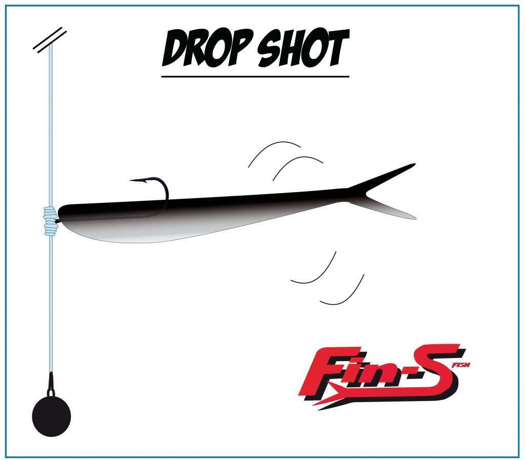 Fin’s Fish monté en drop shot