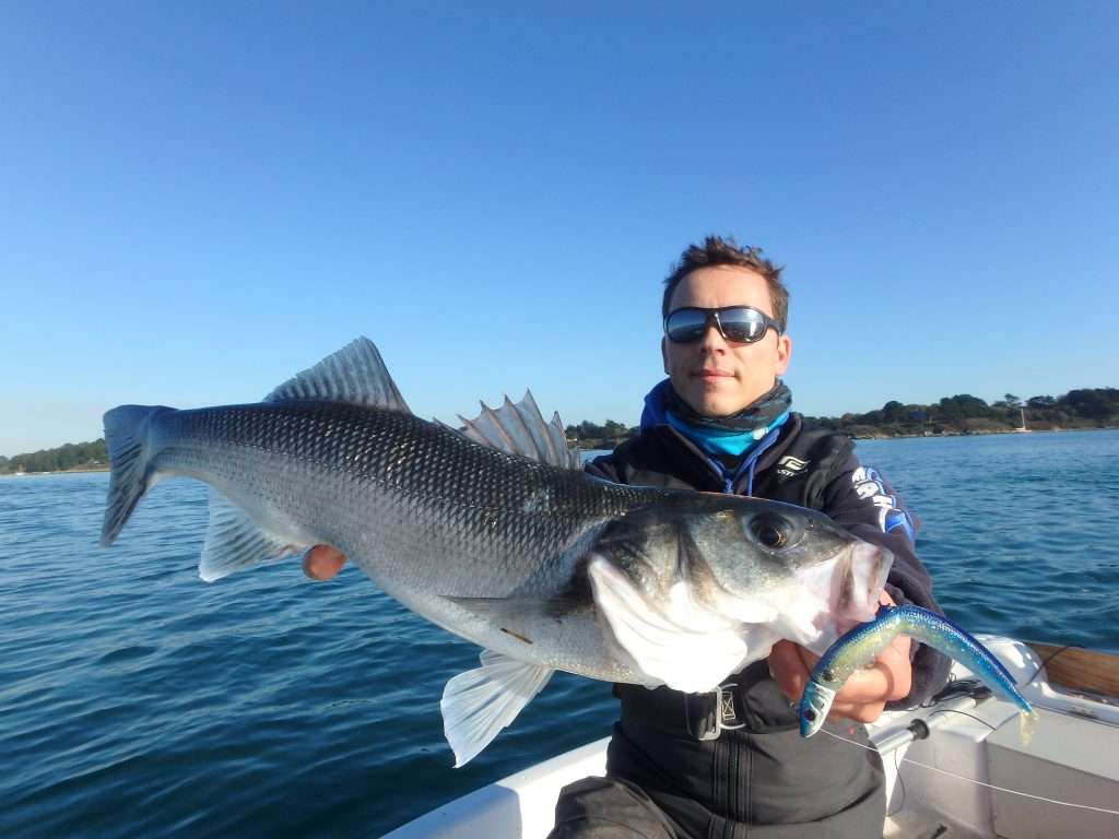 Certains pêcheurs sont devenus des inconditionnels du Blue Equille ! 