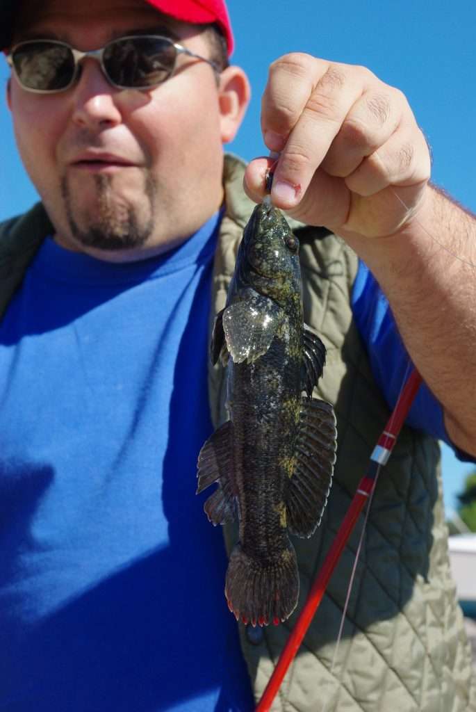 Un « giant gobie » de cette taille a de quoi étonner ! 