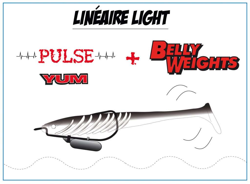 Linéaire light avec un Pulse Yum monté en texan lesté avec un Belly Weight