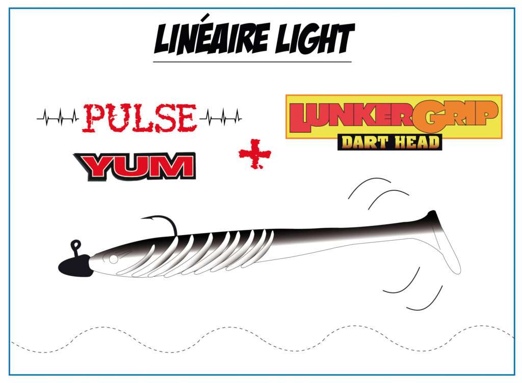 Linéaire light avec un Pulse Yum monté sur une tête plombée Dart Head Lunker City