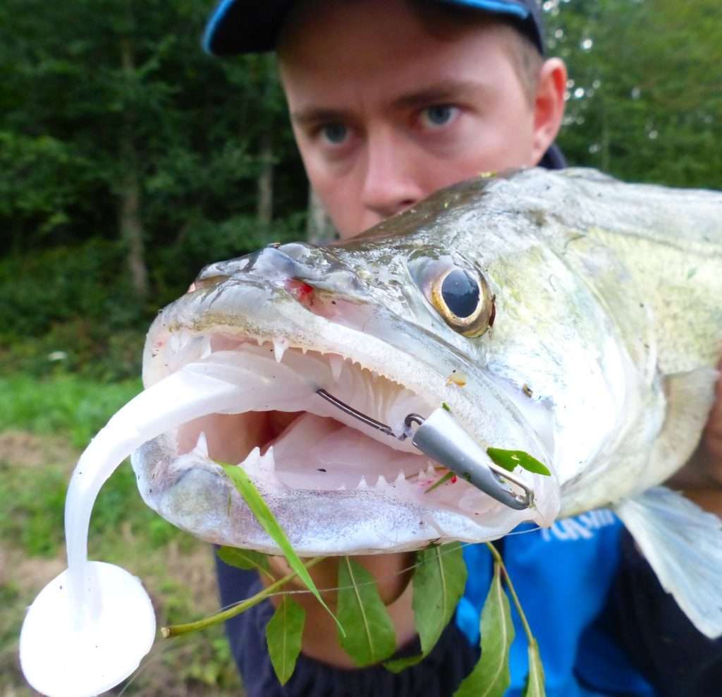 Beau brochet pris au Pulse Yum monté sur une tête plombée texane