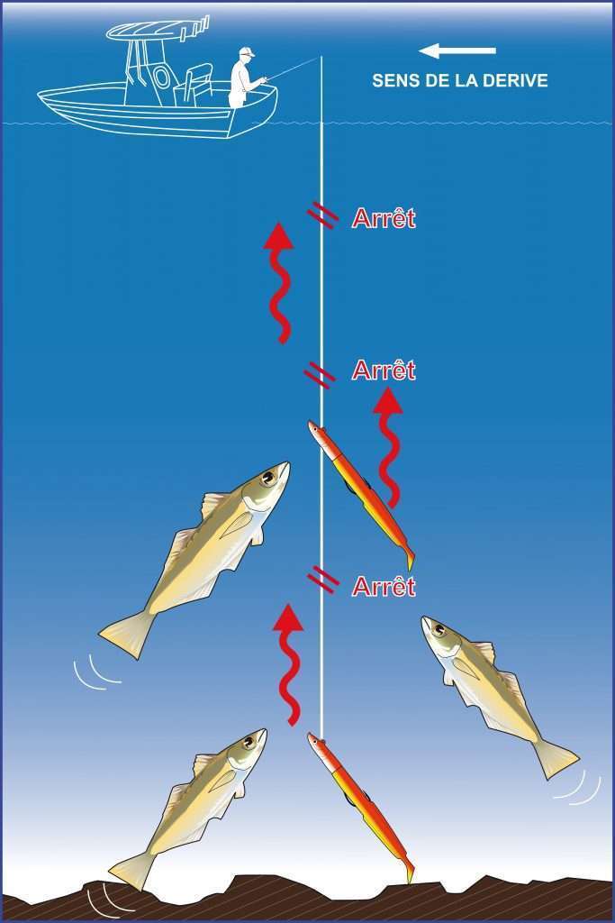 Pêche à l’ascenseur du lieu avec un Blue Equille coloris Atomic Chiken