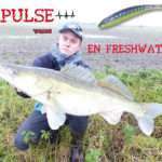 Pulse Yum en freshwater